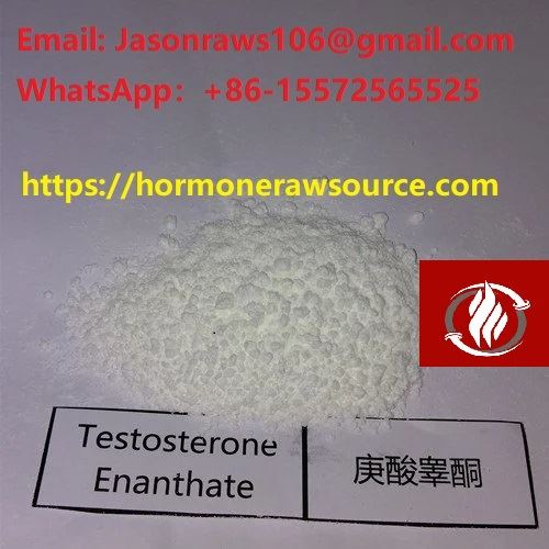 Testosteron Enanthate Powder Bodybuilding CAS:315-37-7